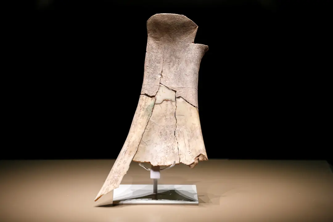 文博日歷丨透過這片“明星甲骨”，一起尋找漢字的源頭！