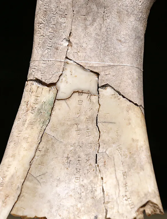 文博日歷丨透過這片“明星甲骨”，一起尋找漢字的源頭！