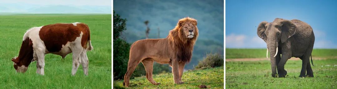 文博日歷丨三種文化符號(hào)“同框” 見證跨越千年的絲綢之路