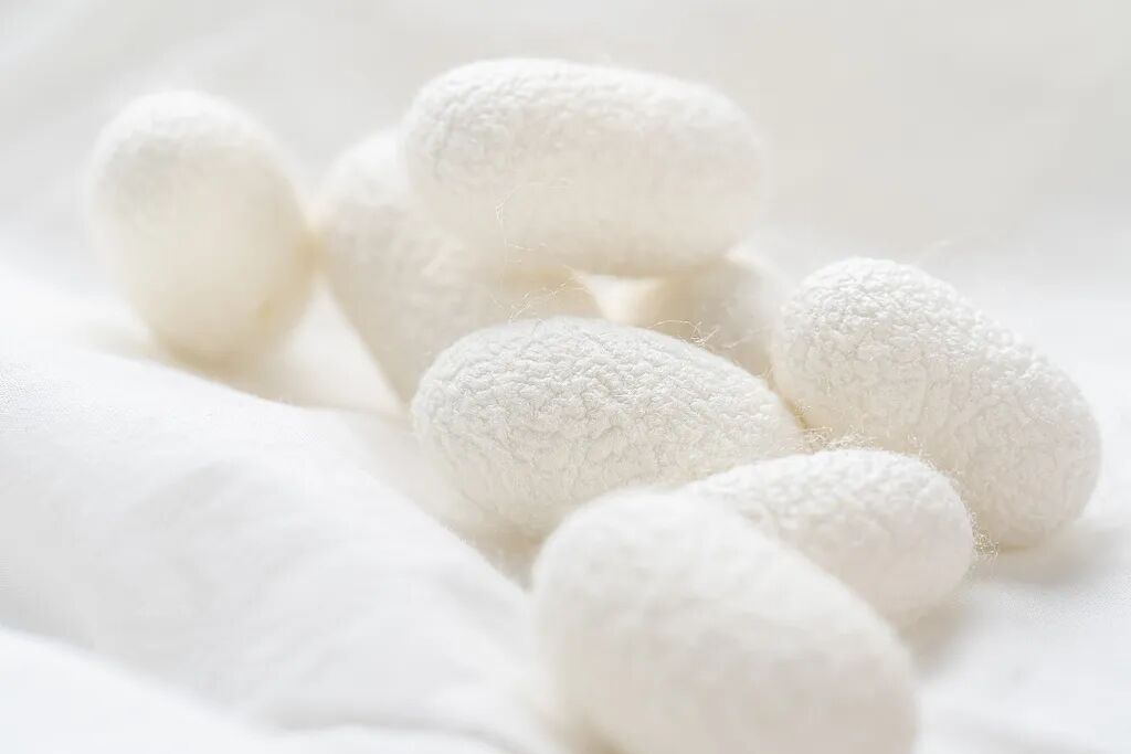 文博日歷丨三種文化符號(hào)“同框” 見證跨越千年的絲綢之路