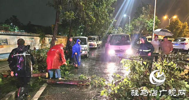  開發(fā)區(qū)城市管理事務(wù)中心深夜奮戰(zhàn) 及時(shí)清除倒樹 守護(hù)師生“腳下安全”