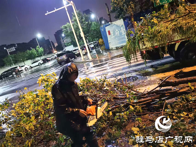  開發(fā)區(qū)城市管理事務(wù)中心深夜奮戰(zhàn) 及時(shí)清除倒樹 守護(hù)師生“腳下安全”