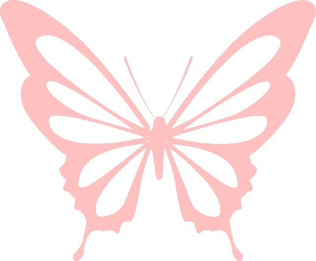 駐馬店又添一名國家級非遺傳承人