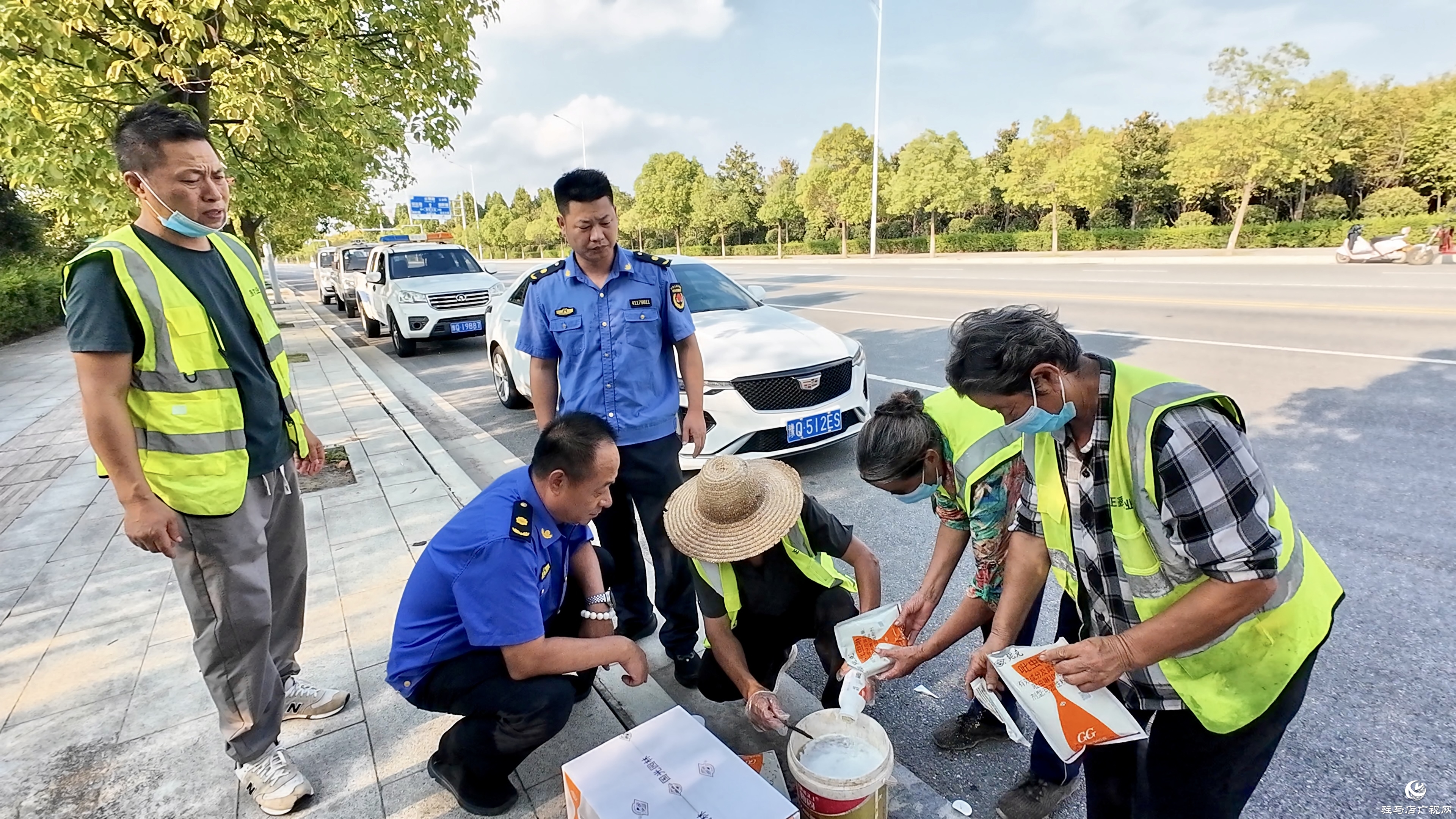 正陽縣城市管理局：多措并舉科學(xué)防治白粉虱 守護(hù)城市宜居環(huán)境