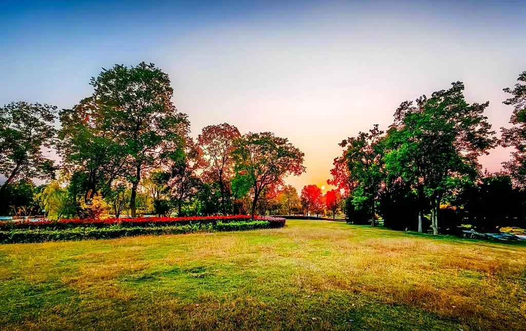 縣區(qū)動(dòng)態(tài) | 朝霞映日晨光美