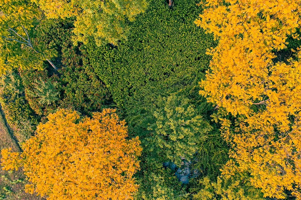 縣區(qū)動(dòng)態(tài) | 朝霞映日晨光美