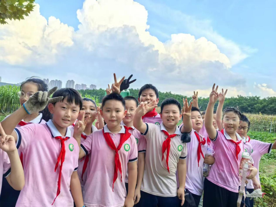 駐馬店市第三十三小學(xué) “耕讀園” 勞動實(shí)踐：田間薅花生 耕耘悟成長