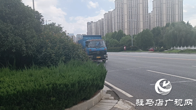 綠化帶瘋長(zhǎng)遮擋視線 市民呼吁及時(shí)修剪消除隱患