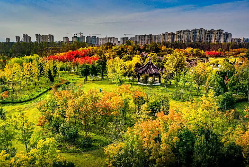 縣區(qū)動(dòng)態(tài) | 朝霞映日晨光美