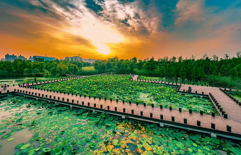 縣區(qū)動(dòng)態(tài) | 朝霞映日晨光美