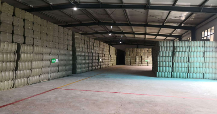 “小草藥”孕育“大標(biāo)準(zhǔn)”：確山鵝不食草規(guī)范化種植助農(nóng)增收