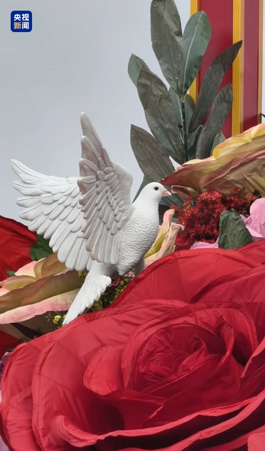 天安門廣場(chǎng)“祝福祖國(guó)”花籃吊裝完成！首次融入動(dòng)物元素