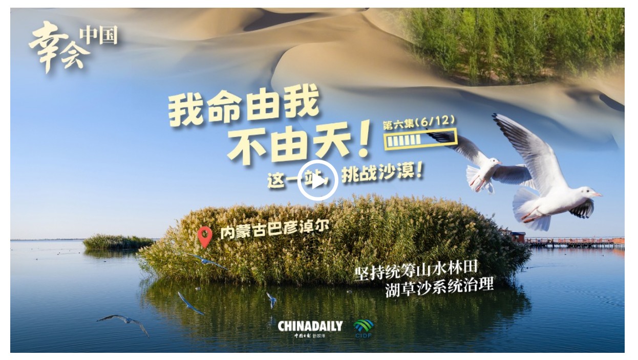 幸會中國 | 荒漠變林海，三北工程繪出生態(tài)奇跡