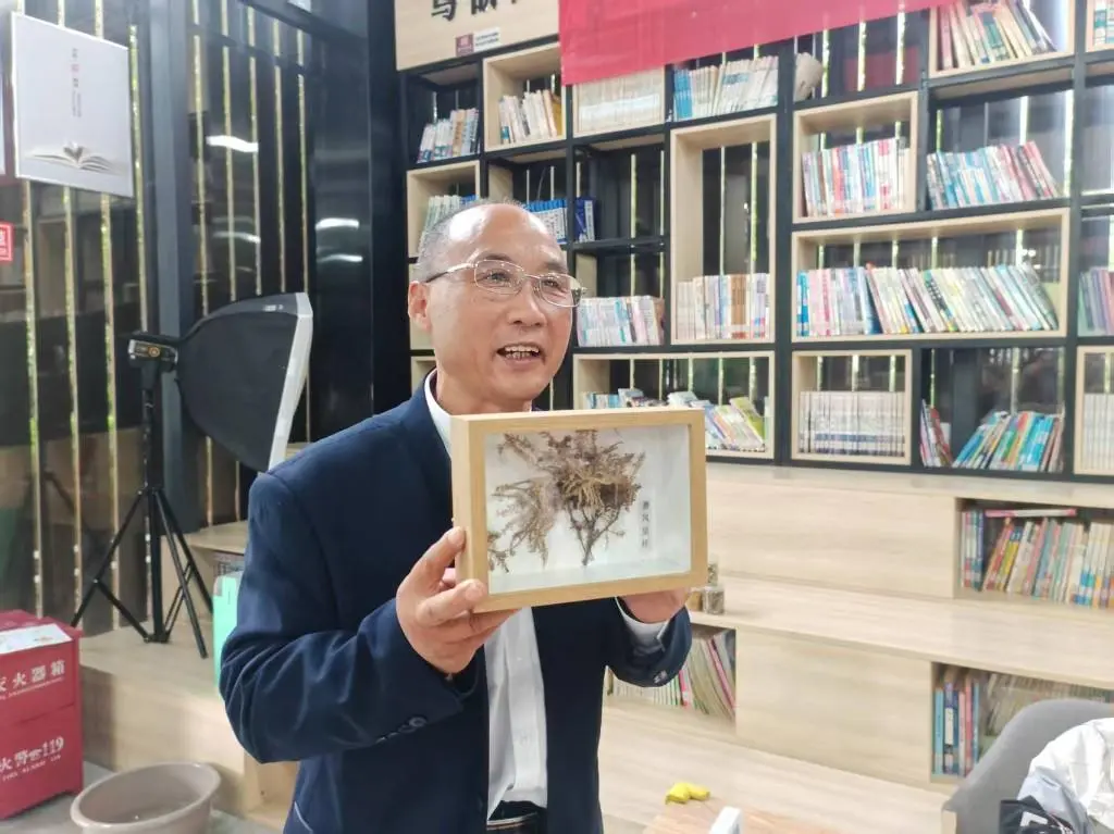 探秘非遺蓍草 傳承天中文脈 | 駐馬店市圖書館舉辦非遺蓍草手工制作活動