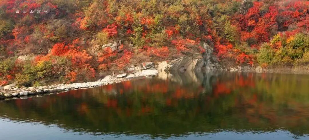 秋日漫步:橙紅橘綠時(shí)的詩意畫卷