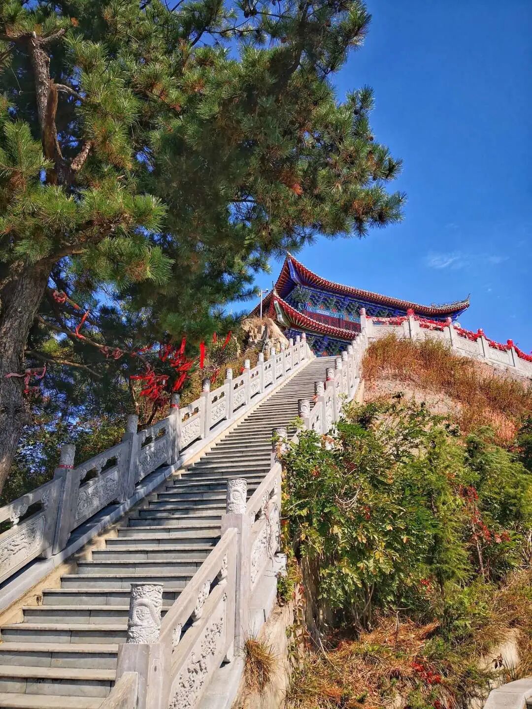 秋日漫步:橙紅橘綠時(shí)的詩意畫卷