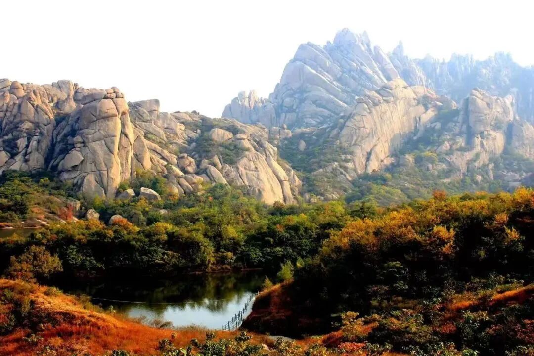 秋日漫步:橙紅橘綠時(shí)的詩意畫卷