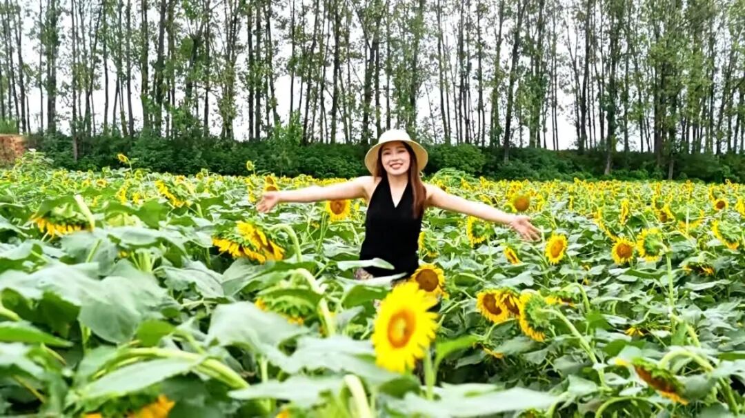 秋日漫步:橙紅橘綠時(shí)的詩意畫卷