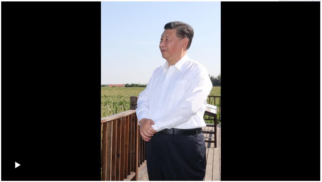 習(xí)語｜“中國的飯碗一定要端在自己的手里”