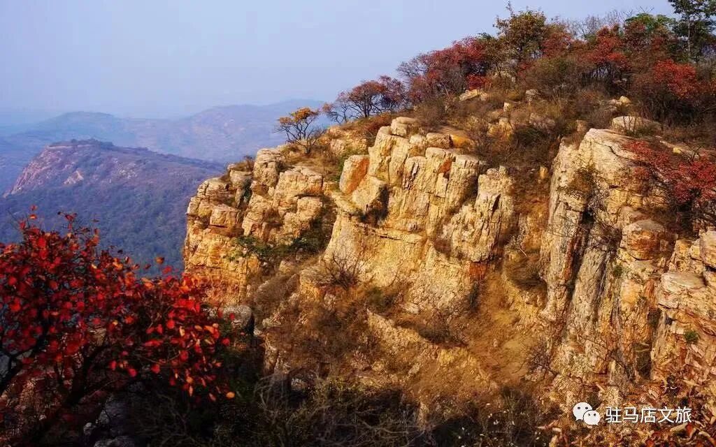 秋日漫步:橙紅橘綠時(shí)的詩意畫卷