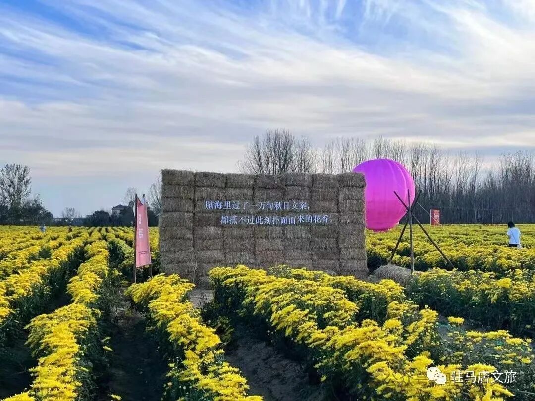 秋日漫步:橙紅橘綠時(shí)的詩意畫卷