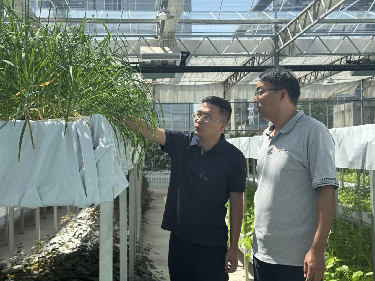 中原農(nóng)谷啟動(dòng)種肥一體化八萬(wàn)畝示范田建設(shè)