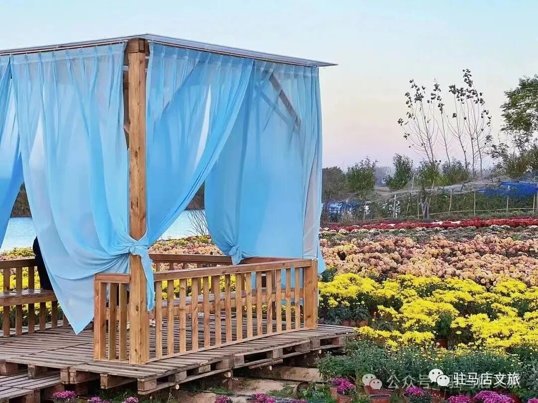 秋日漫步:橙紅橘綠時(shí)的詩意畫卷