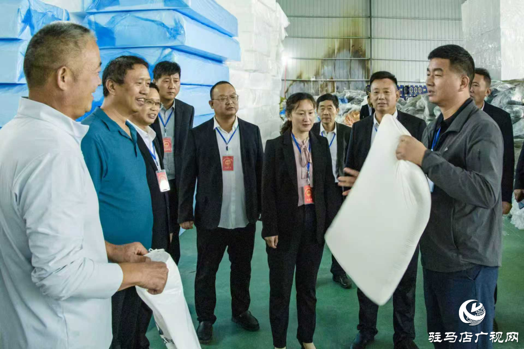 正陽(yáng)縣清源街道人大代表：深入企業(yè)聽訴求 助企紓困解難題