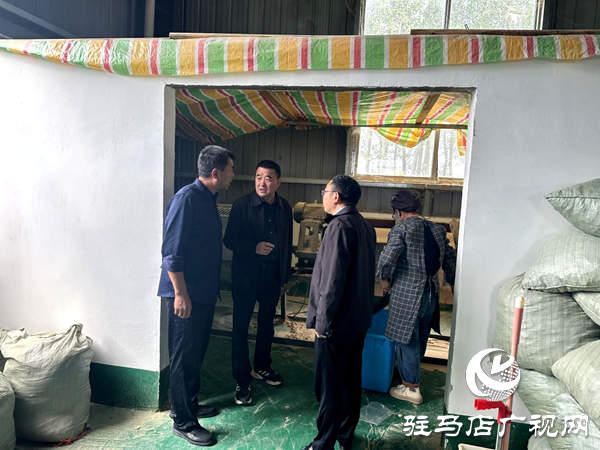 平輿縣射橋鎮(zhèn)：實地走訪調(diào)研 助力企業(yè)再上新臺階