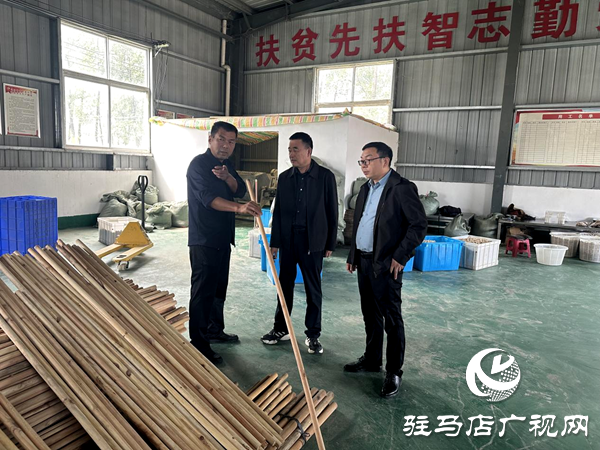 平輿縣射橋鎮(zhèn)：實地走訪調(diào)研 助力企業(yè)再上新臺階