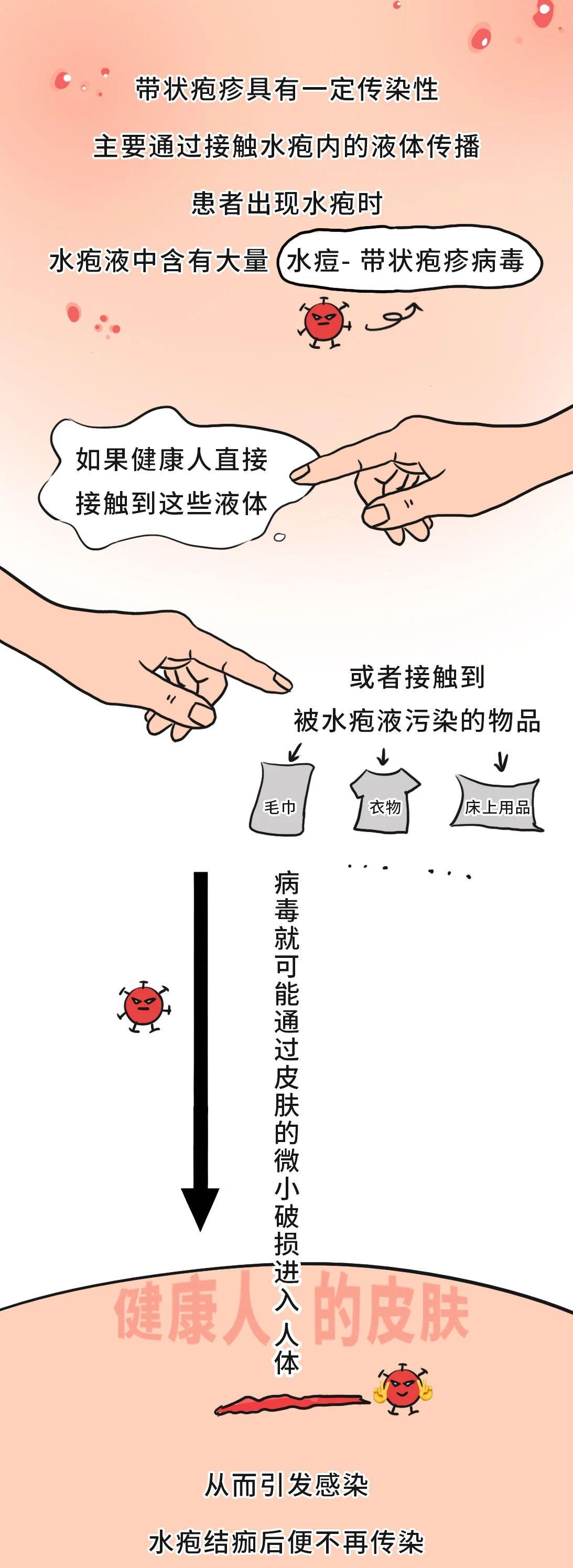 有必要帶爸媽打帶狀皰疹疫苗嗎？一圖了解