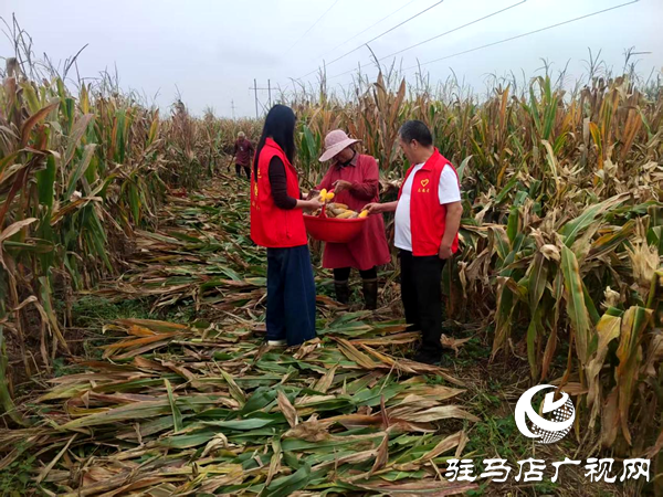 平輿縣李屯鎮(zhèn)：黨員干部奔一線 聯(lián)動(dòng)尋策助農(nóng)忙