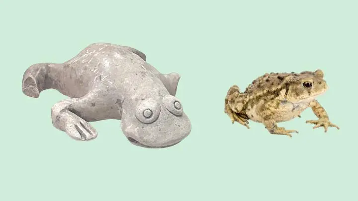 文博日歷丨古人的“丑萌”吉祥物和考試有關(guān)