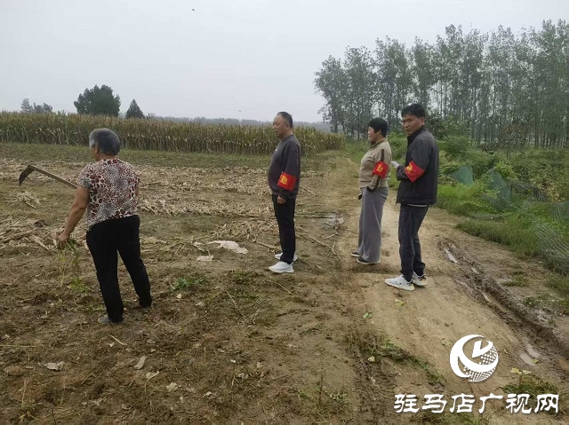  新蔡縣頓崗鄉(xiāng)發(fā)揮人大代表作用助力秸稈禁燒宣傳活動