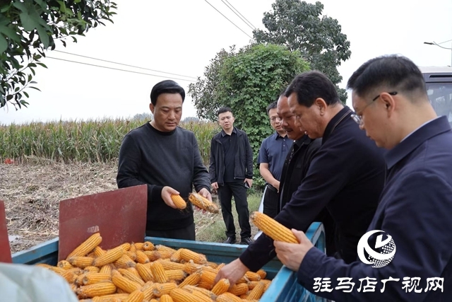  西平縣委書(shū)記侯公濤督導(dǎo)“三秋”農(nóng)業(yè)生產(chǎn)和巡河檢查工作