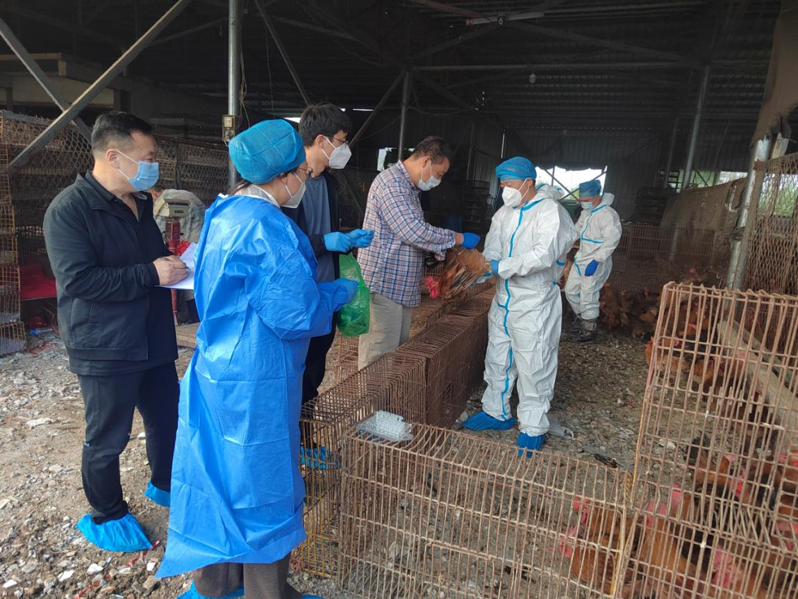 駐馬店市動物疫病防疫檢疫中心發(fā)布 2025年10月份動物疫病預(yù)警預(yù)報信息