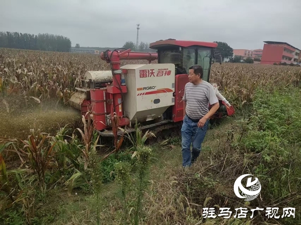 雨里搶、晴里收！平輿縣萬金店鎮(zhèn)干群接力“戰(zhàn)”天氣、護(hù)糧倉