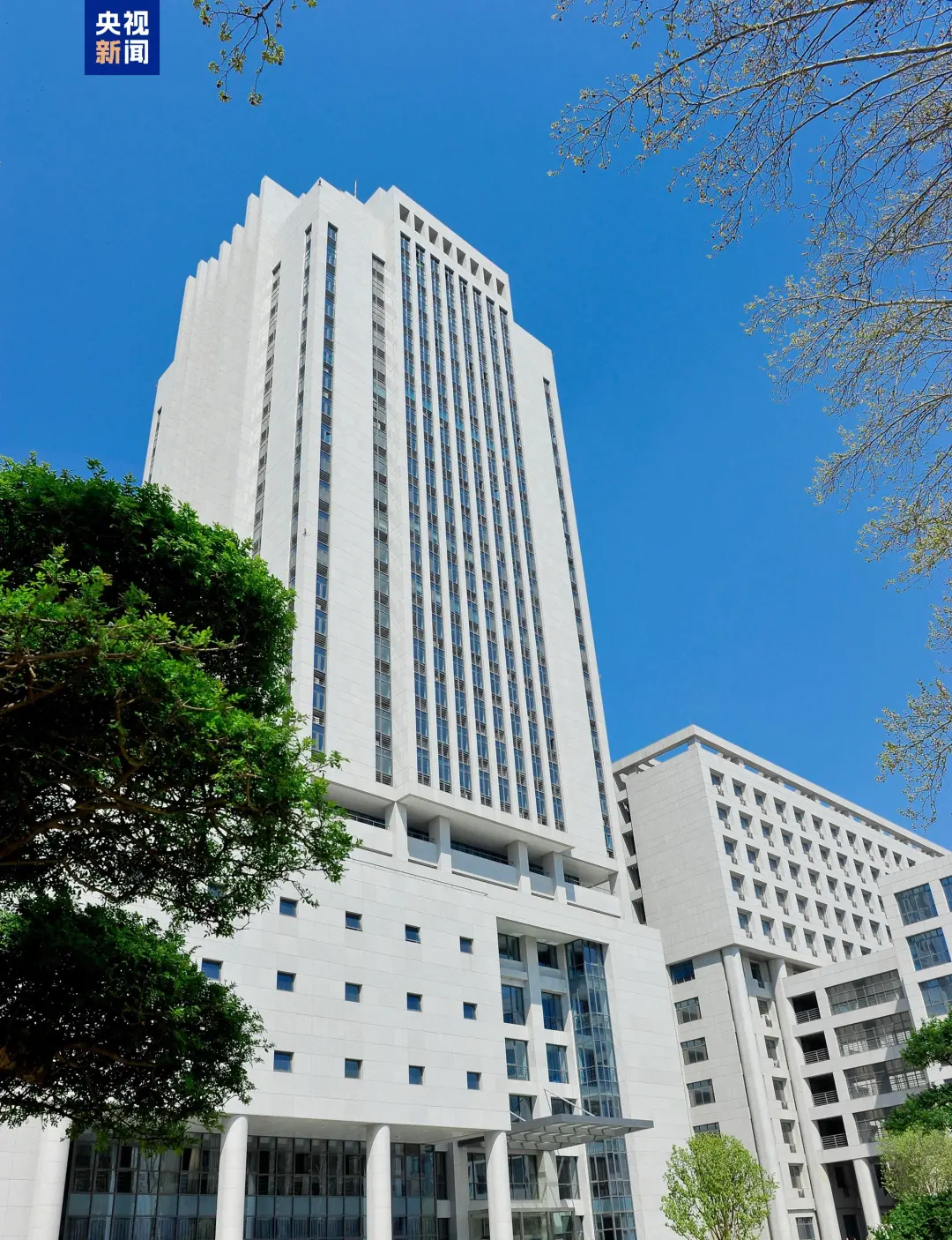 文博日歷丨山東大學(xué)收藏的這兩只小鳥 已經(jīng)飛了2800多年