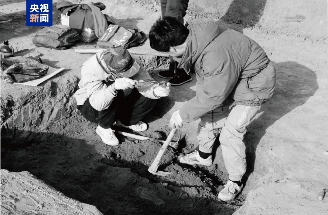 文博日歷丨山東大學(xué)收藏的這兩只小鳥 已經(jīng)飛了2800多年