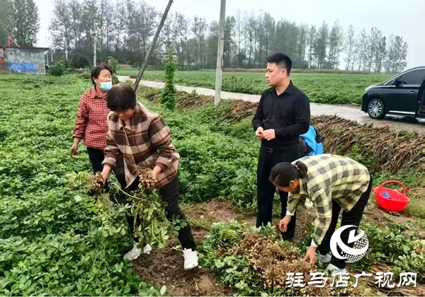 雨里搶、晴里收！萬金店鎮(zhèn)干群接力“戰(zhàn)”天氣、護(hù)糧倉(cāng)