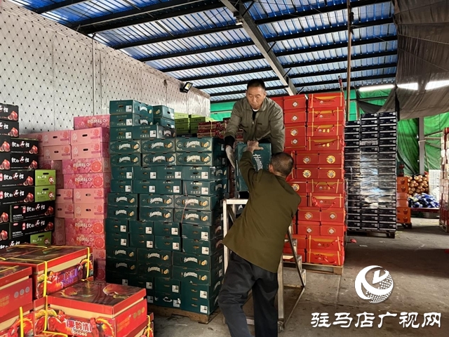 駐馬店市眾信農(nóng)副產(chǎn)品綜合批發(fā)市場：筑牢“雙節(jié)”蔬菜、水果保供防線