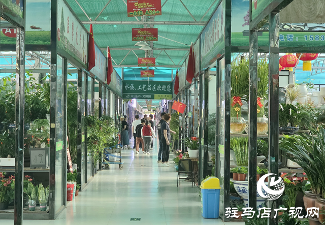 駐馬店：國(guó)慶假期花卉市場(chǎng)銷售火熱 繽紛花卉添彩節(jié)日氛圍??