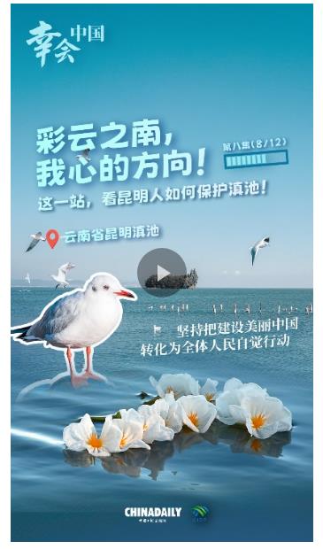 幸會(huì)中國(guó)｜堅(jiān)持把美麗中國(guó)建設(shè)轉(zhuǎn)化為全民行動(dòng)，守護(hù)高原明珠！