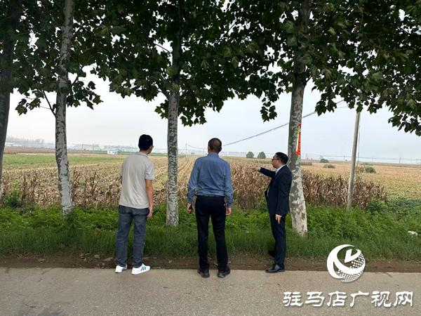 平輿縣射橋鎮(zhèn)：干群同心齊上陣 搶收搶種保歸倉