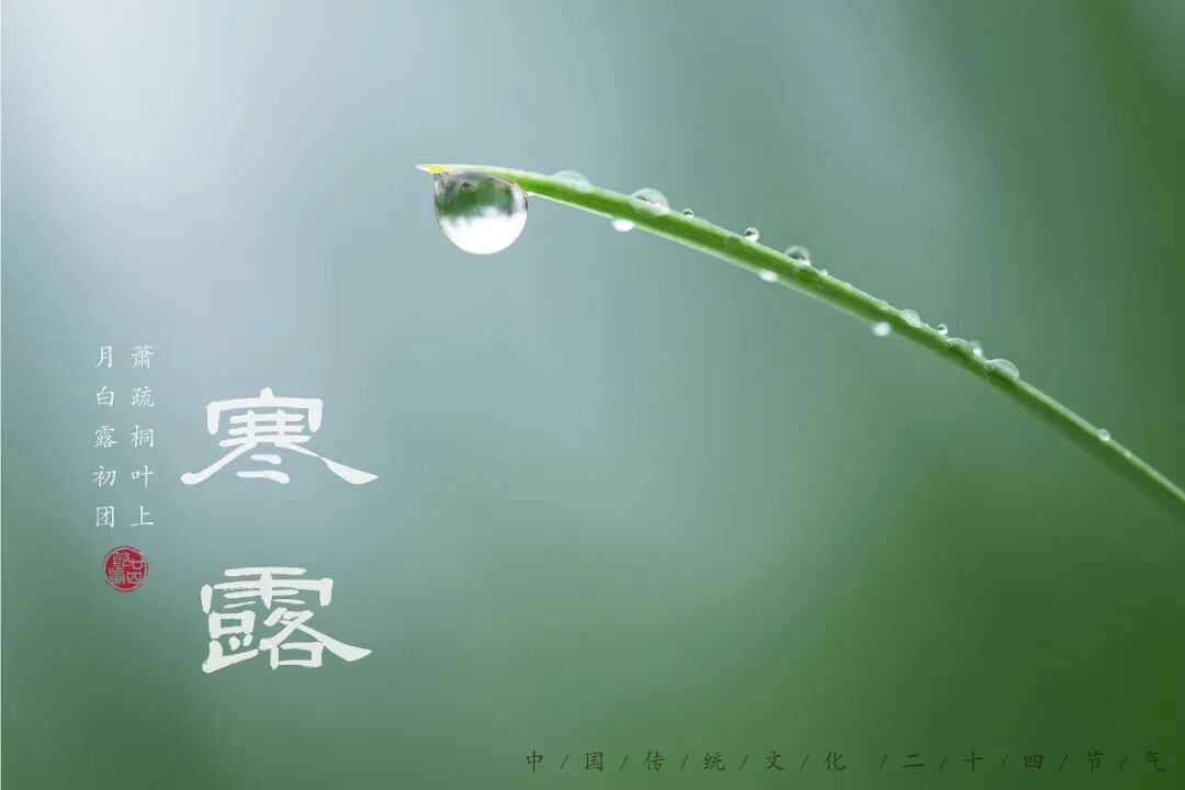 “早寒露”=冷冬預警？老祖宗的天氣預測，今年準不準？