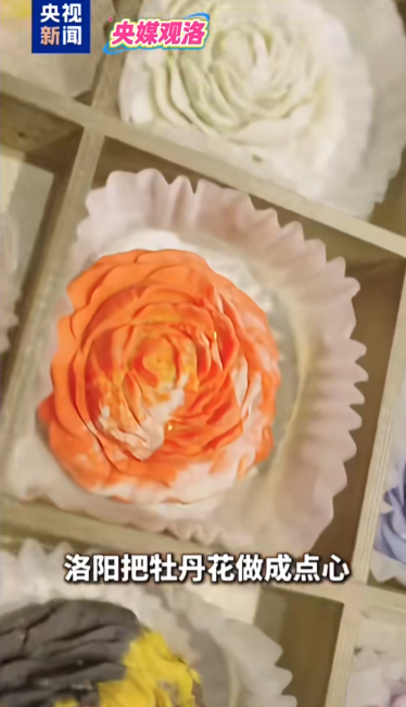 人民日報(bào)、央視聚焦60余次！