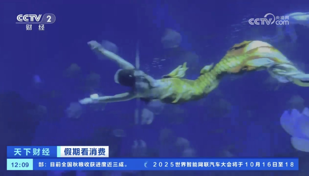 人民日報(bào)、央視聚焦60余次！