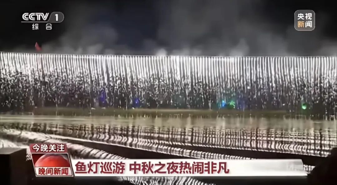 人民日報(bào)、央視聚焦60余次！