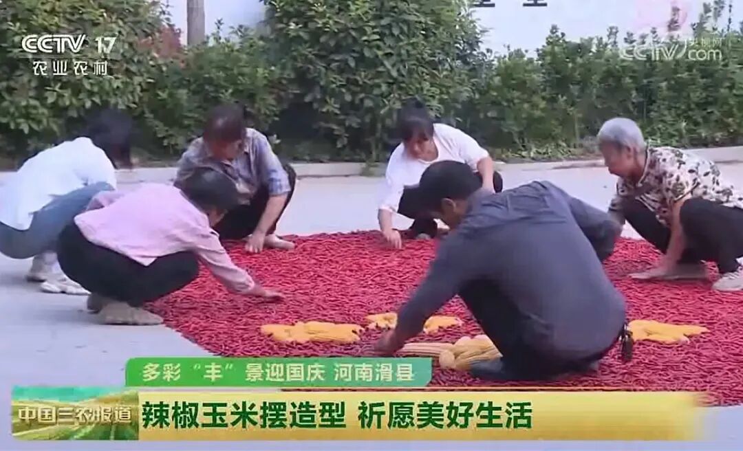 人民日報(bào)、央視聚焦60余次！