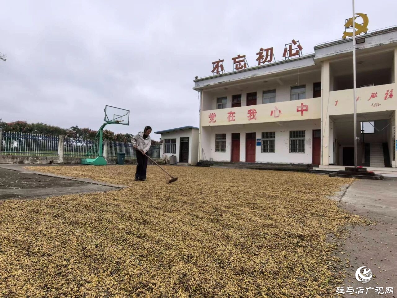 正陽(yáng)縣閭河鄉(xiāng)：扛牢糧食安全責(zé)任??全力護(hù)航“三秋”生產(chǎn)